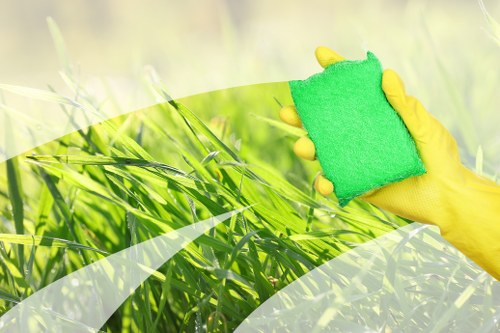 Carpet cleaning service terms and conditions introduction