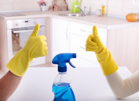 Hot water extraction carpet cleaning setup in a W1W apartment