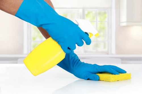 Detailed after builders cleaning for kitchens and surfaces in W1W