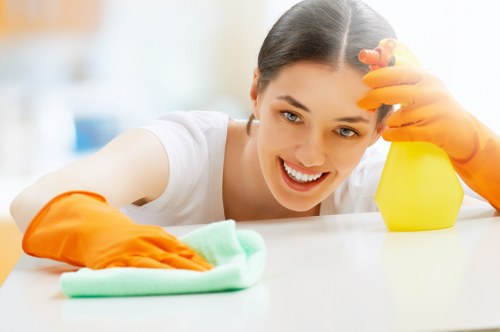 Professional house cleaning service for W1W apartments and homes