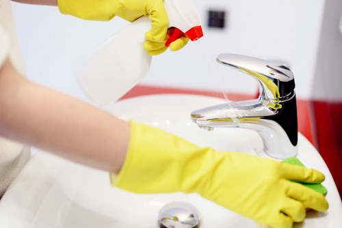 Detailed bathroom and limescale cleaning in a W1W property