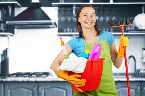 Professional upholstery cleaning for fabric sofas in W1W