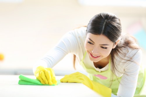 Step-by-step treatment for urine stains and odours on carpets