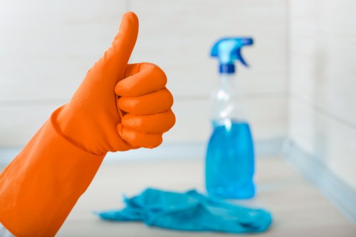 Detailed domestic cleaning for kitchens and bathrooms in W1W