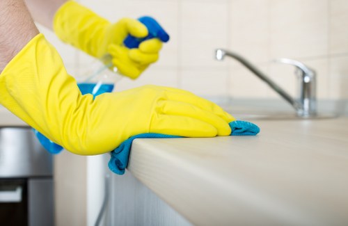 Pet stain odour removal service for homes and businesses in W1W