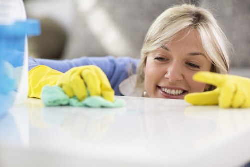 Local cleaning team handling move out cleaning near Marylebone and Fitzrovia