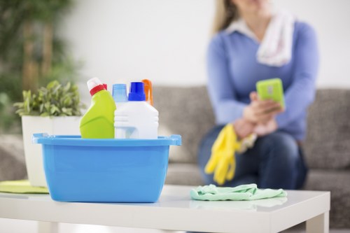 Local window cleaning service for homes and businesses in W1W