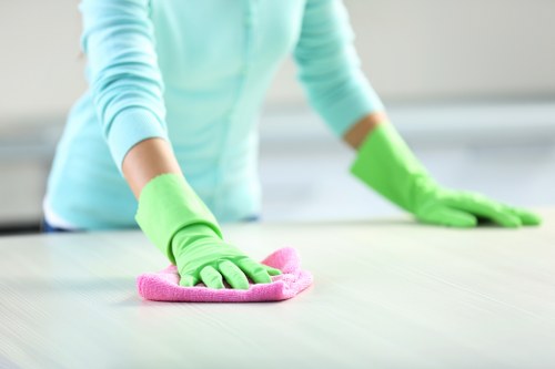Recurring domestic cleaning for a flat near Marylebone and Fitzrovia