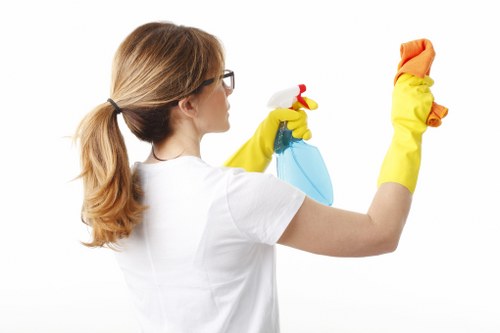 Flexible regular cleaning service for W1W homes and businesses