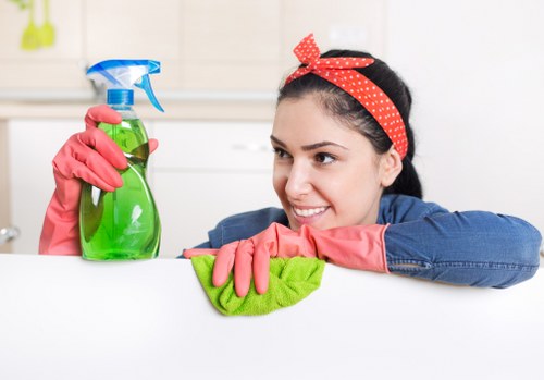Flexible cleaning service for homes and offices in W1W