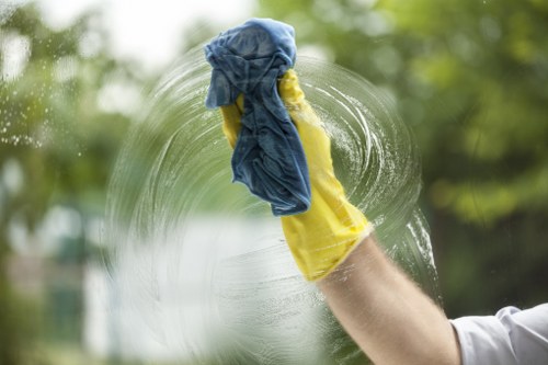 Detailed carpet cleaning process in a W1W property