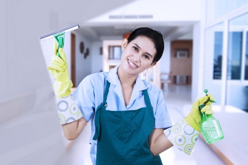Kitchen and bathroom routine cleaning in W1W