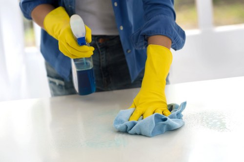 Kitchen appliance cleaning service for homes and businesses in W1W