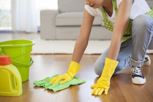 Professional carpet cleaner treating stained carpet in W1W