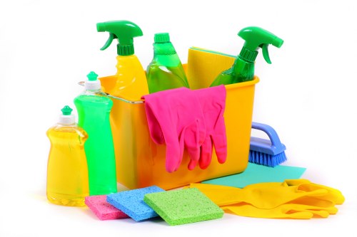 Local cleaner preparing a W1W home for guests