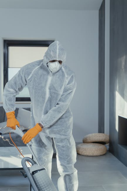 Belgravia carpet cleaning near Eaton Square SW1W same day service